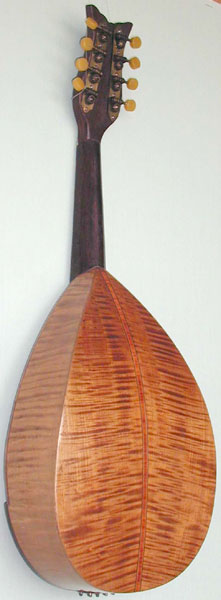 Early Musical Instruments, antique Mandolin by E. de Cristofaro