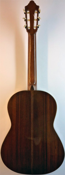 Early Musical Instruments, Custom Guitar by Daniel Friederich